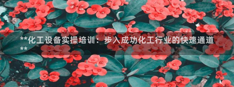 新航娱乐扣款后还能重新扣吗