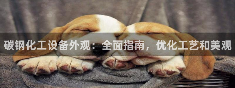 新航娱乐公司扣费流程详解