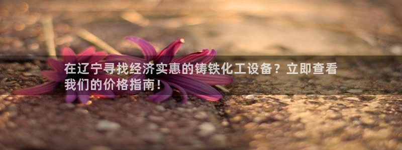 新航娱乐的创始人背景