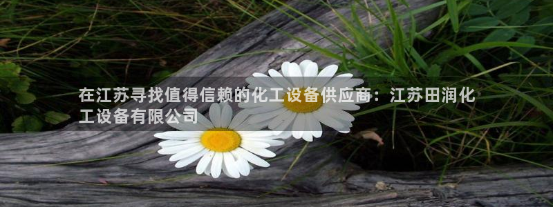 新航娱乐的员工工资福利及待遇