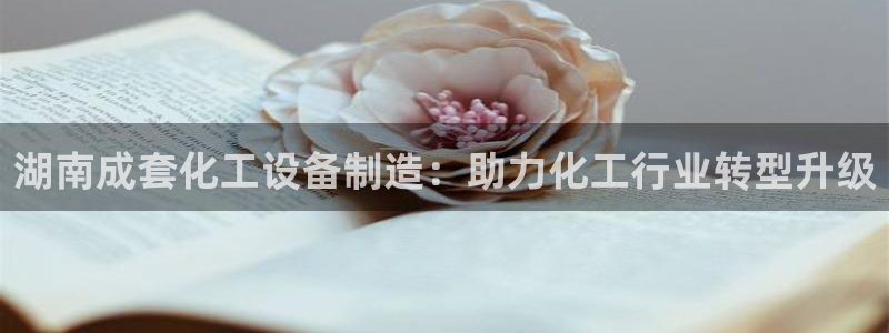 新航娱乐的员工工资福利及待遇如何
