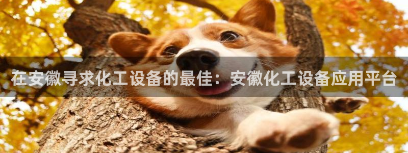 新航娱乐注册平台注册的步骤和注意事项
