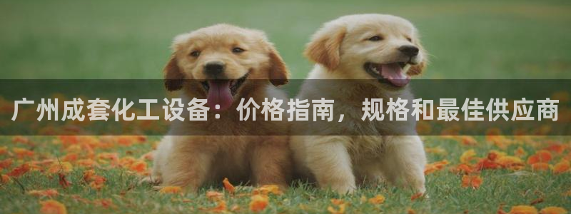 新航娱乐扣款后还能重新扣费吗怎么办