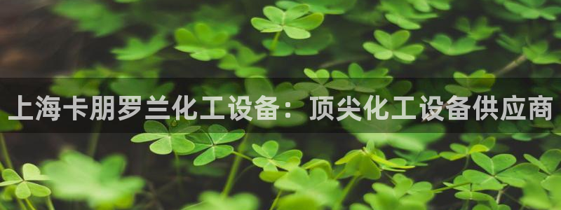 新航娱乐背后的老板