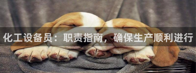 新航娱乐app的最新版本更新内容是什么