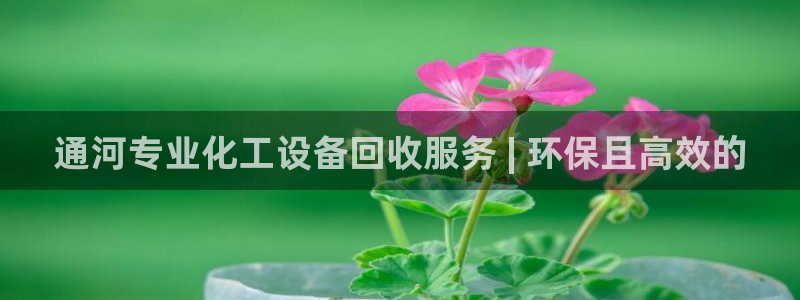 新航娱乐app最新版本更新内容介绍