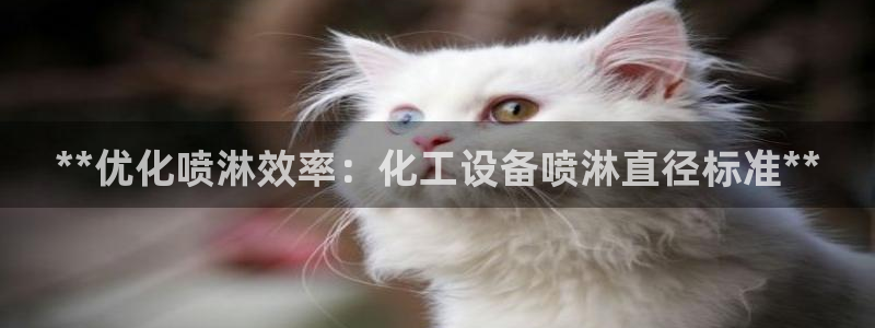新航娱乐的员工工资福利及待遇