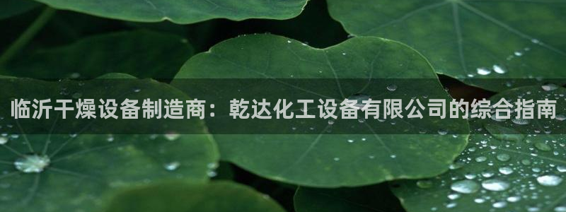 新航娱乐app官方免费下载苹果：临沂干燥设备制造商