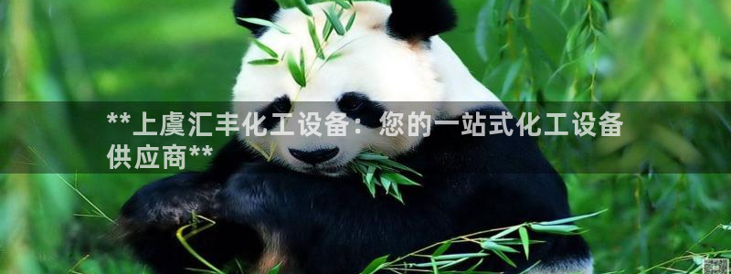 新航娱乐的员工工资福利及待遇如何