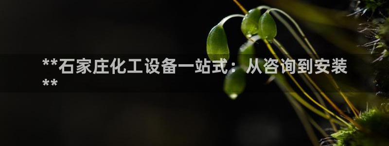 新航娱乐公司扣费流程详解图片