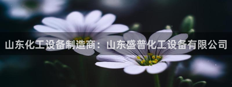 新航娱乐探索无限撼底空间