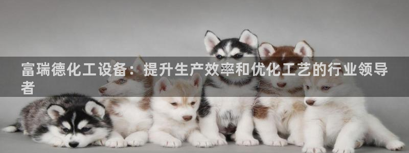 新航娱乐app最新版本更新内容在哪里