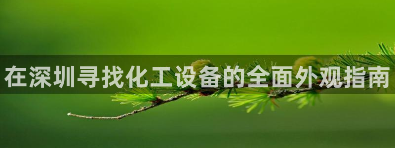 新航娱乐的创始人背景是什么