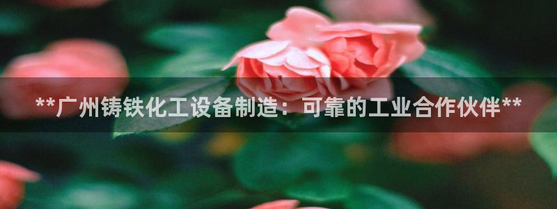 新航娱乐属于什么级别