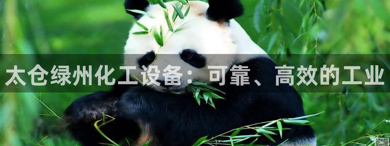 新航娱乐背后的老板是谁