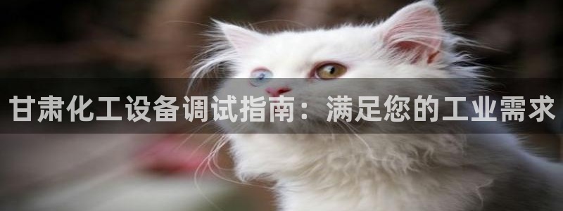 新航娱乐扣款能追回来吗