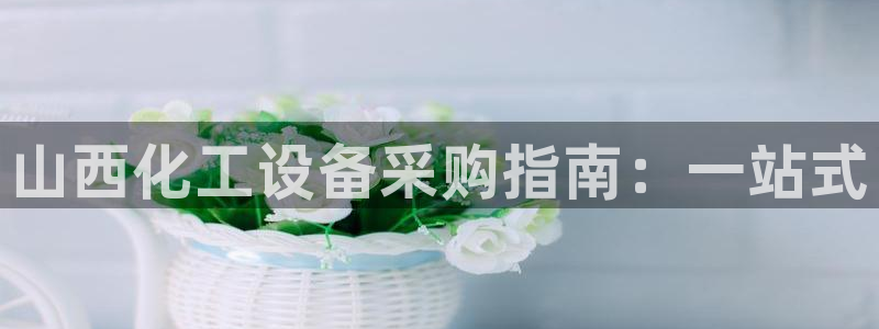 新航娱乐公司旗下艺人名单