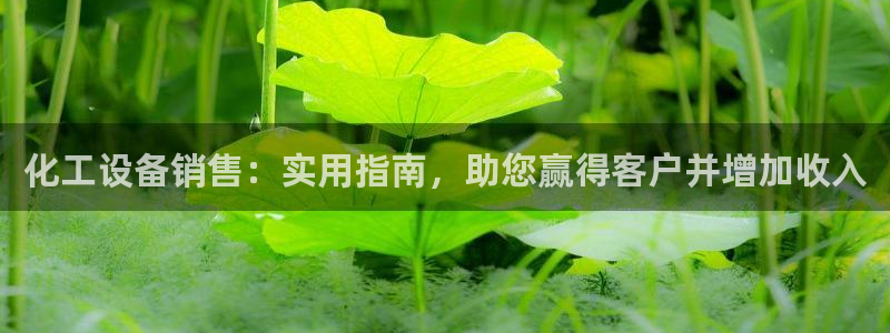 新航娱乐背后的老板是谁