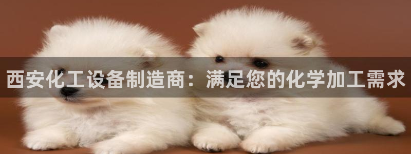新航娱乐总代理是谁