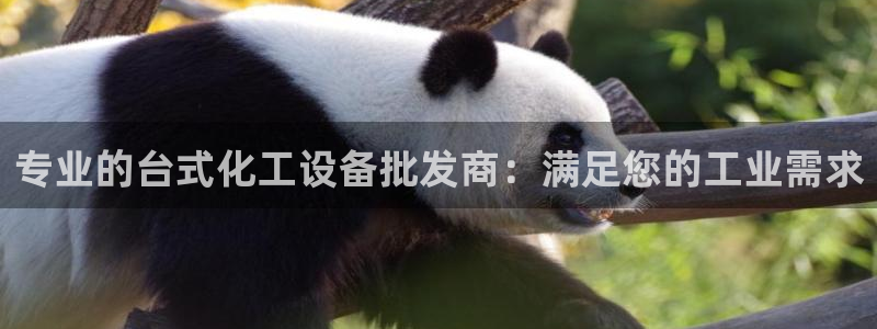 新航娱乐皮皮虾