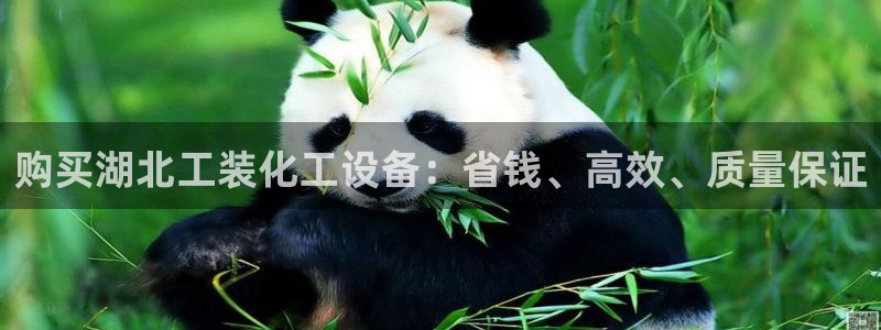 新航娱乐的员工工资福利及待遇怎么样：购买湖北工装化