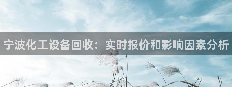 新航娱乐的创始人是谁：宁波化工设备回收：实时报价和