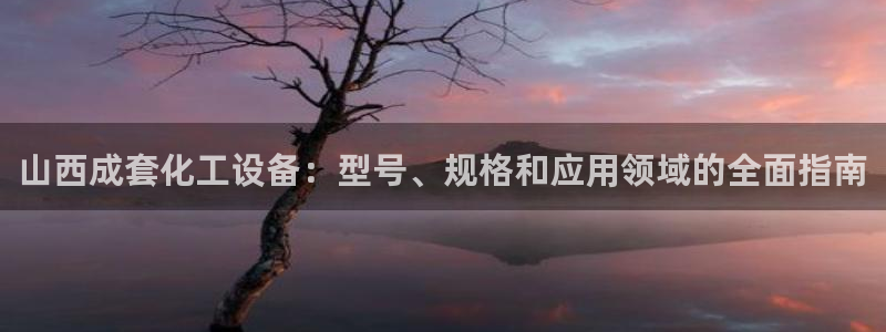 新航娱乐公司简介和历史背景怎么写