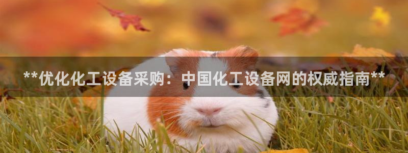 新航娱乐公司扣费流程详解视频下载：**优化化工设备