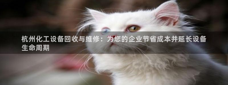 新航娱乐入网要求