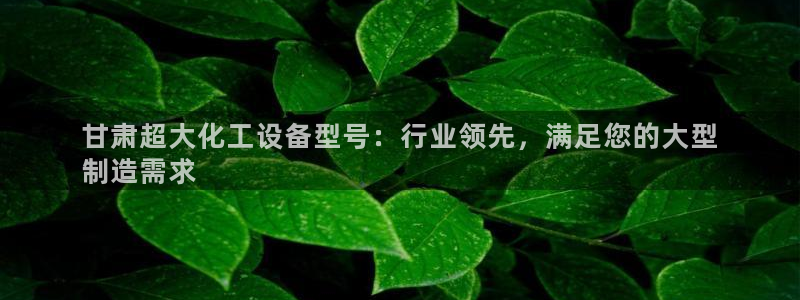 新航娱乐的员工工资福利及待遇