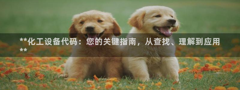 新航娱乐的背景和历史背景是什么