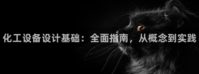 新航娱乐的员工工资福利及待遇怎么样