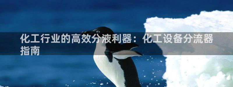 新航娱乐的创始人简介图片