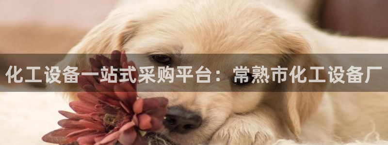 新航娱乐的背景和历史背景介绍