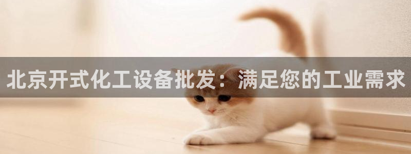新航娱乐的员工工资福利及待遇