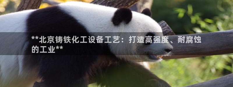 新航娱乐公司扣费流程详解图片
