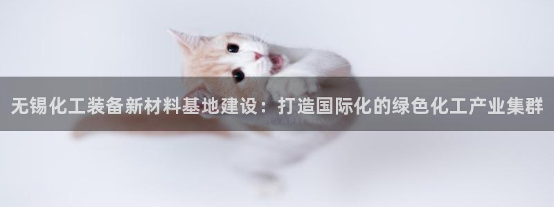 新航娱乐公司扣费流程详解表：无锡化工装备新材料基地