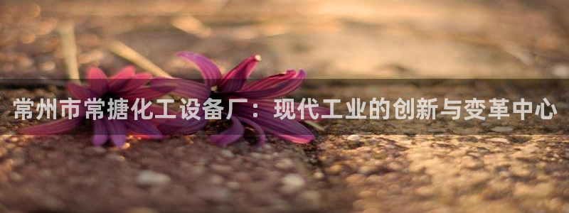 新航娱乐扣款详情怎么看：常州市常搪化工设备厂：现代