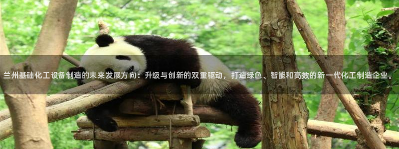 新航娱乐扣款能追回来吗：兰州基础化工设备制造的未来发展方向：