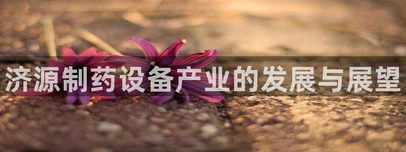 新航娱乐公司简介和历史背景怎么写：济源制药设备产业的发展与展