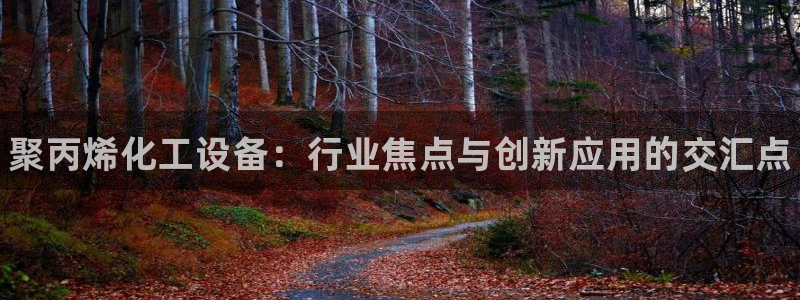 新航娱乐公司简介和历史背景怎么写