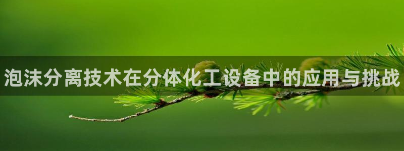 新航娱乐平台app下载：泡沫分离技术在分体化工设备