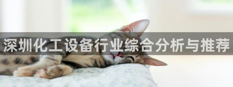 新航娱乐公司旗下艺人有哪些