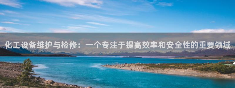 新航娱乐扣款7IIIIII：化工设备维护与检修：一