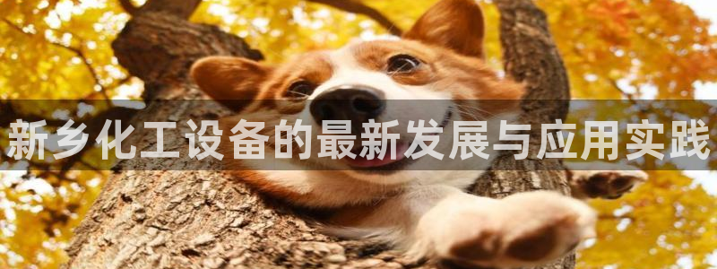 新航娱乐扣款后还能重新扣吗