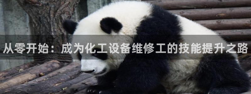 新航娱乐总代理是谁：从零开始：成为化工设备维修工的