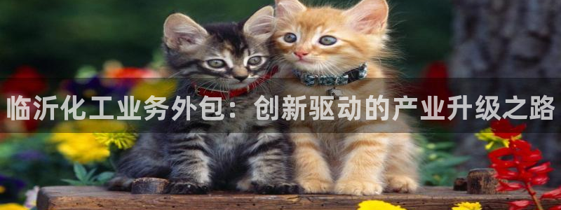 新航娱乐公司扣费流程详解图：临沂化工业务外包：创新