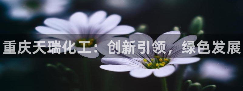 新航娱乐扣款后还能重新扣费吗：重庆天瑞化工：创新引