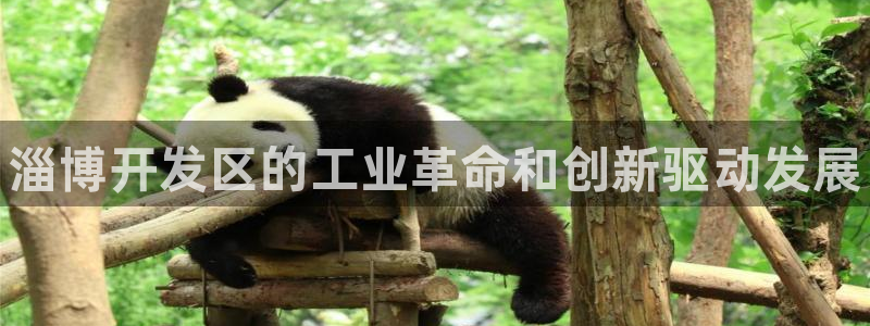 新航娱乐直开.中国最新版本更新内容